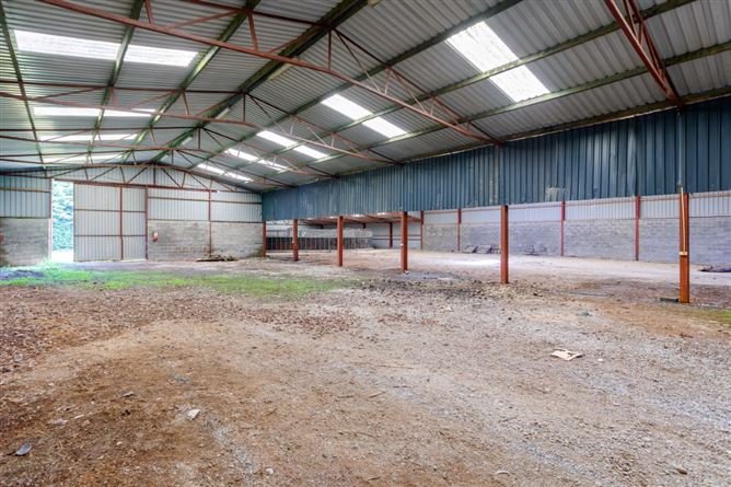 Hanlon's Farm, Maddenstown, Curragh, Kildare