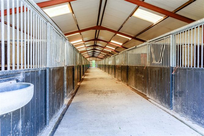 Hanlon's Farm, Maddenstown, Curragh, Kildare