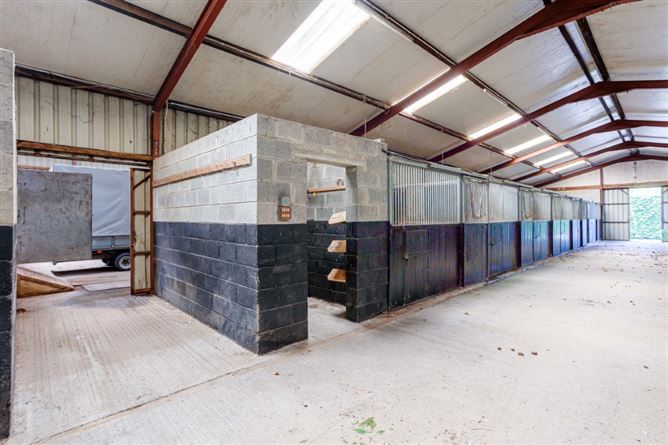 Hanlon's Farm, Maddenstown, Curragh, Kildare