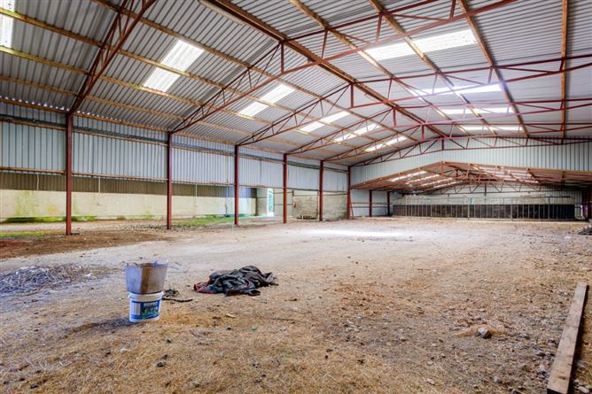 Hanlon's Farm, Maddenstown, Curragh, Kildare