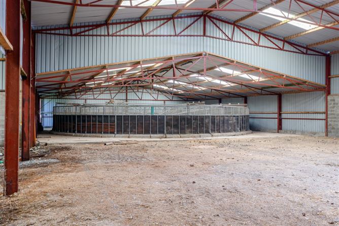 Hanlon's Farm, Maddenstown, Curragh, Kildare