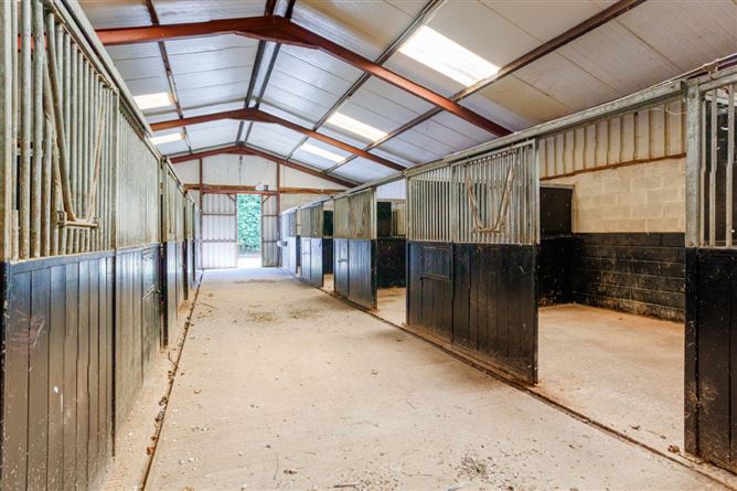 Hanlon's Farm, Maddenstown, Curragh, Kildare