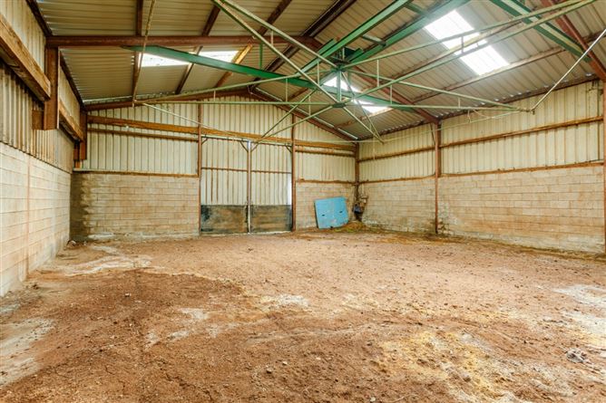 Hanlon's Farm, Maddenstown, Curragh, Kildare