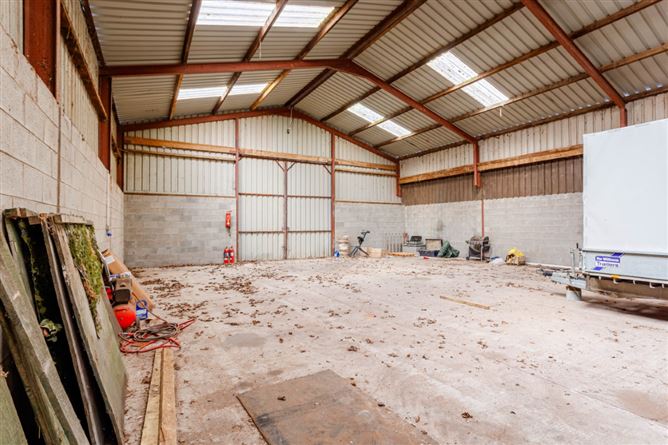 Hanlon's Farm, Maddenstown, Curragh, Kildare