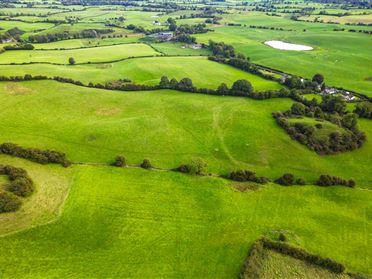 Thomastown, Crossakiel, Meath