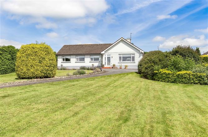 Newtown, Trim, Co. Meath