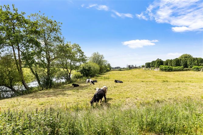 Newtown, Trim, Co. Meath