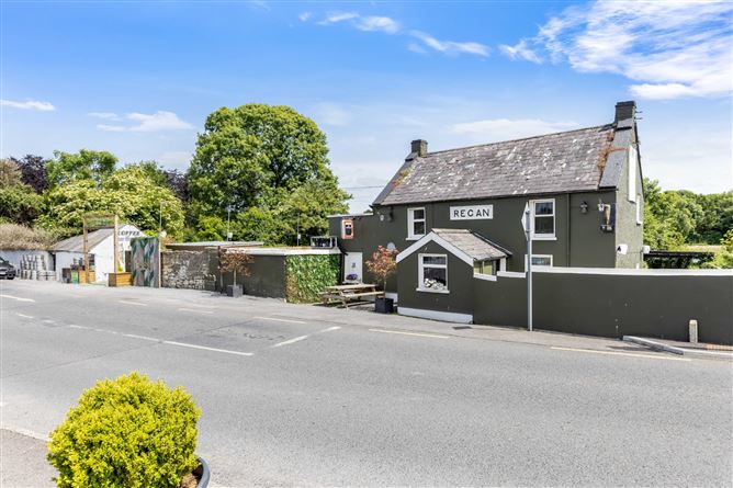 Newtown, Trim, Co. Meath