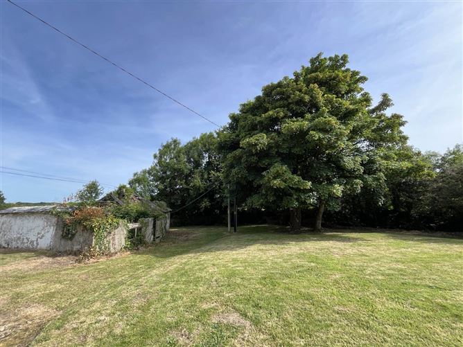 Hollybrook, Clone, Enniscorthy, County Wexford