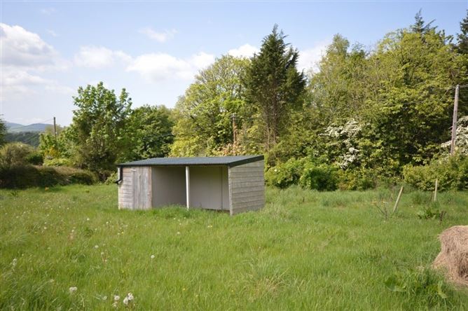 Knockanree Upper, Avoca, Co. Wicklow