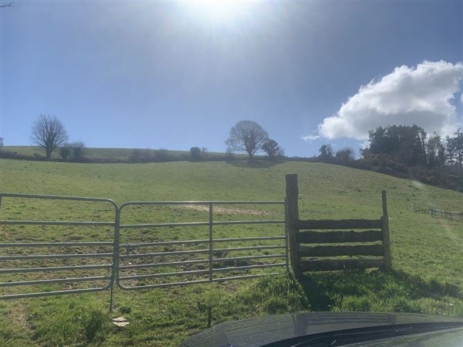 Knockanree Upper, Avoca, Co. Wicklow