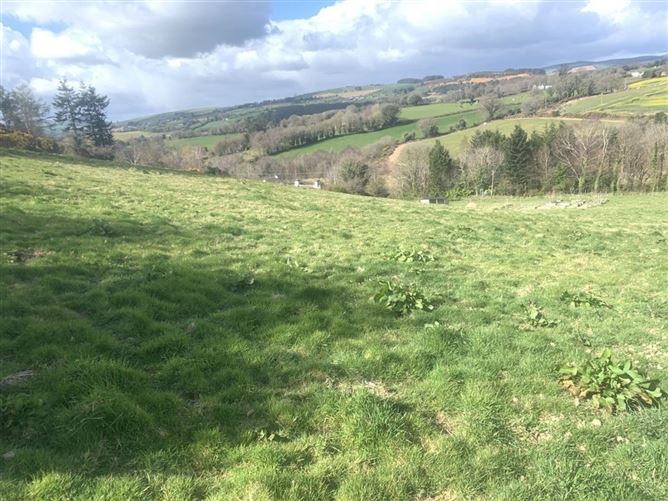 Knockanree Upper, Avoca, Co. Wicklow