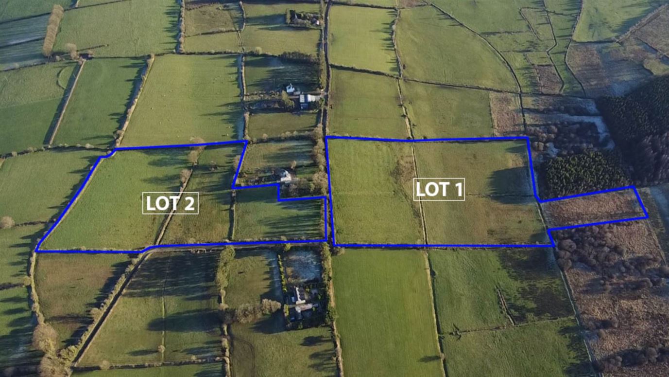 C. 20.60 Acres, Listhomasroe, Castlerea, County Roscommon