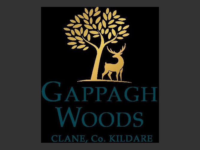 Main image for 9 Gappagh Woods,Clane,Co. Kildare