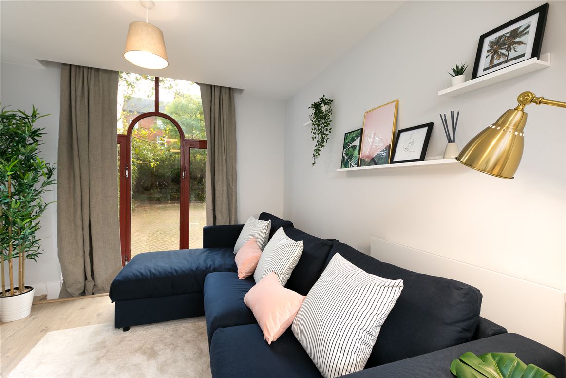 The Monstera Plant,Reading,Berkshire,United Kingdom