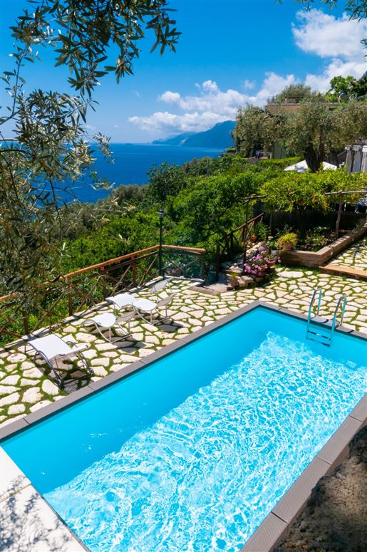 Lemons over Positano,Positano,Campania,Italy