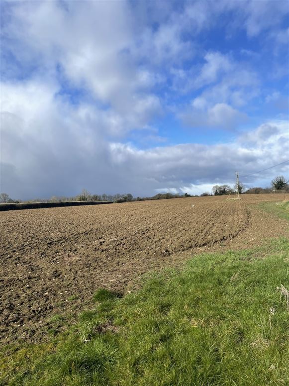 Knockauneevin, Tynagh, Loughrea, Co. Galway Sherry FitzGerald Madden