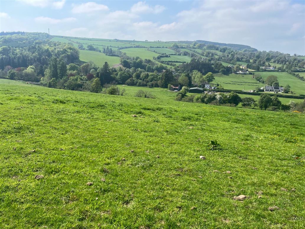 Sruhaun, C. 16 acres with potential, Baltinglass, Wicklow