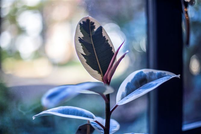 Apartment 3, 3 Beau Park Avenue, Clongriffin, Dublin 13