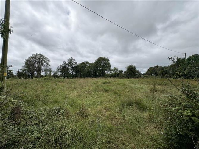 Gardenfield, Dromcolliher, Limerick