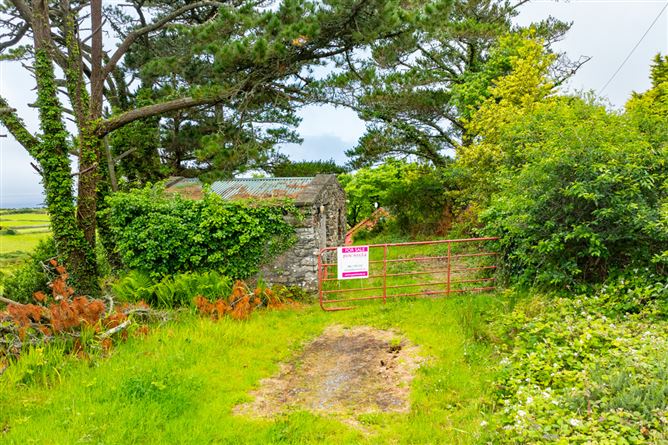 Caher, Kilcrohane, West Cork