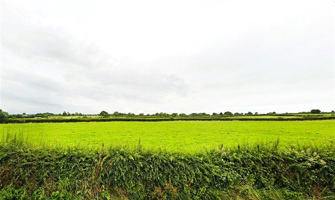 Lands Finniterstown, Adare, Co. Limerick