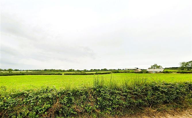 Lands Finniterstown, Adare, Co. Limerick