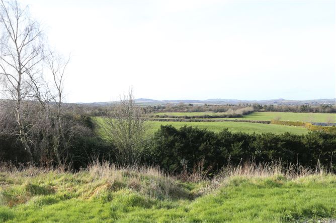 Stonehouse, Dunleer, Co. Louth