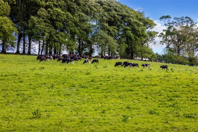 Glynch House & Lands, (The Entire), Approx. 33.02 Ha (81.62 Acres), Newbliss, County Monaghan