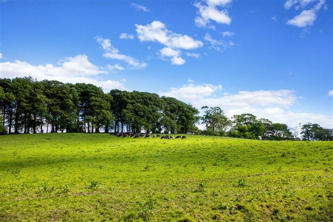 Glynch House & Lands, (The Entire), Approx. 33.02 Ha (81.62 Acres), Newbliss, County Monaghan