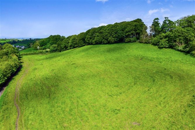 Glynch House & Lands, (The Entire), Approx. 33.02 Ha (81.62 Acres), Newbliss, County Monaghan
