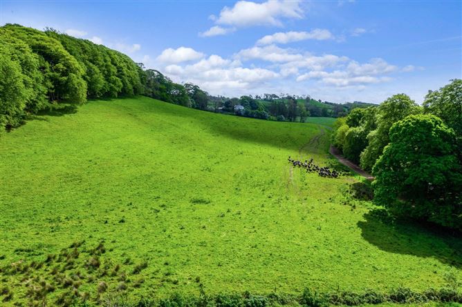 Glynch House & Lands, (The Entire), Approx. 33.02 Ha (81.62 Acres), Newbliss, County Monaghan