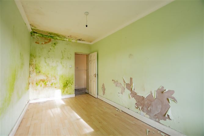 Derrynagarragh, Collinstown, Westmeath