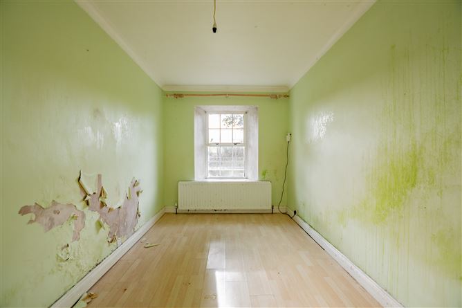 Derrynagarragh, Collinstown, Westmeath