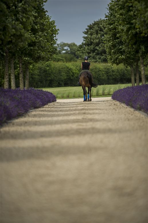 The Saddler's Rooms,Bishop's Waltham, Hampshire, United Kingdom