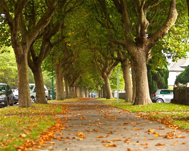 https://photos-a.propertyimages.ie/media/8/5/5/4952558/baae7e77-2cc0-4136-871e-bd71f4a7344a_l.jpg