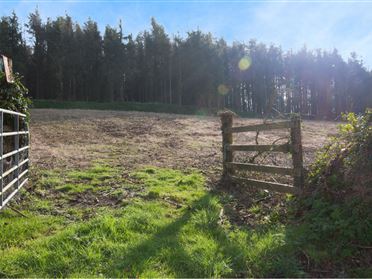 Image for Site at Banoge Hill, Gorey, Wexford