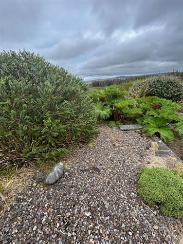 Caherkinalla, Doolin, Clare