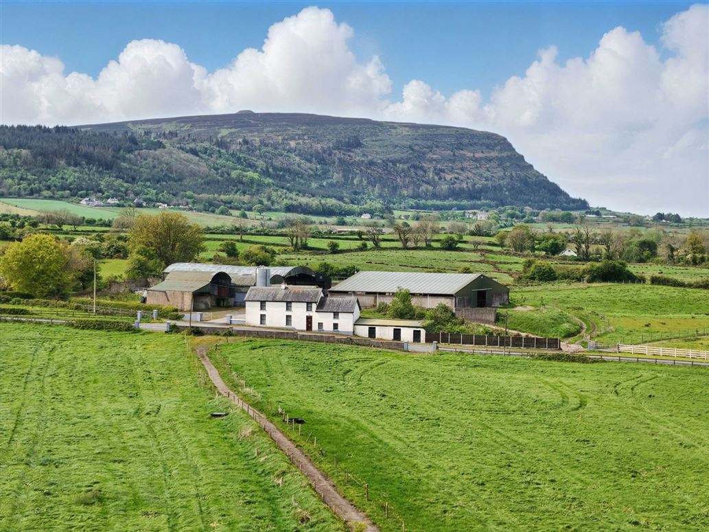 C. 50 Acres, Barnasraghy, Sligo, County Sligo