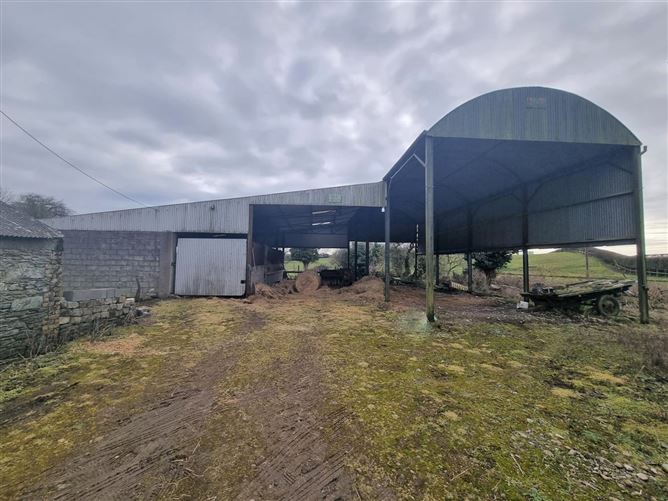 Mill House, Kilgowan, Kilcullen, Kildare