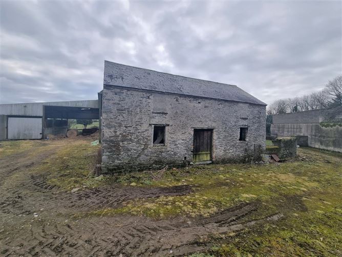 Mill House, Kilgowan, Kilcullen, Kildare