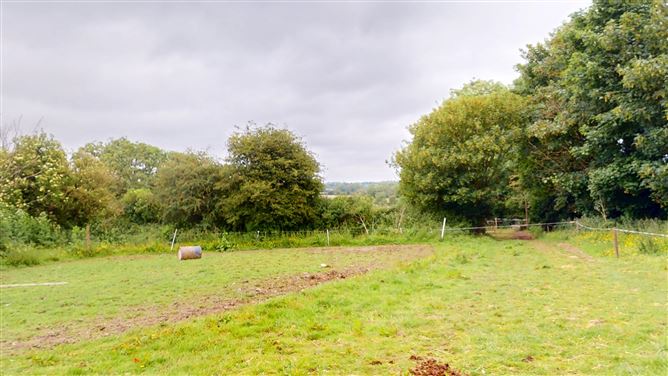 Ballinvegga Farmhouse, New Ross, Wexford