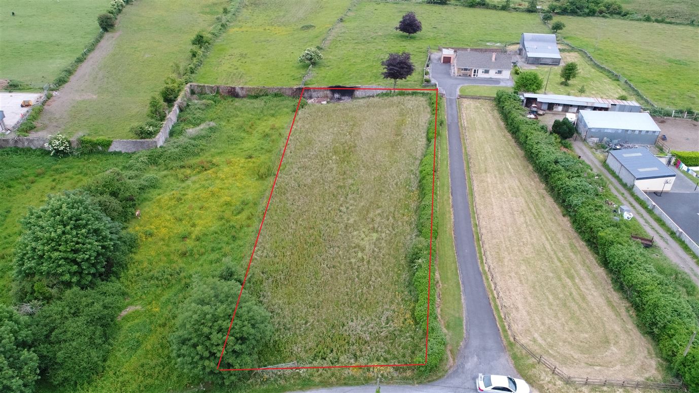 Rindifin, Gort, Co. Galway