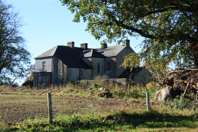 Ballykillane House On Circa 211 acres , Hacketstown, Co. Carlow  , Hacketstown, Carlow