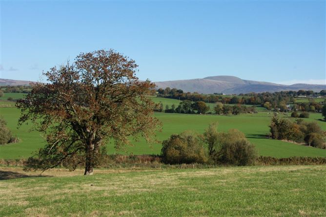 Ballykillane House On Circa 211 acres , Hacketstown, Co. Carlow  , Hacketstown, Carlow