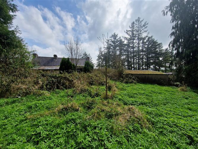 Tulrahan, Claremorris, Co. Mayo