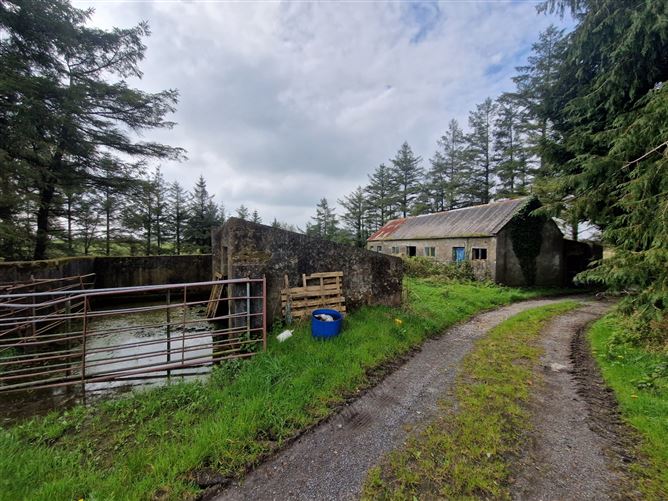 Tulrahan, Claremorris, Co. Mayo