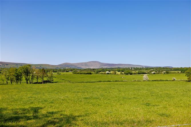 Borkill More on C.1 Acre, Kiltegan, Wicklow
