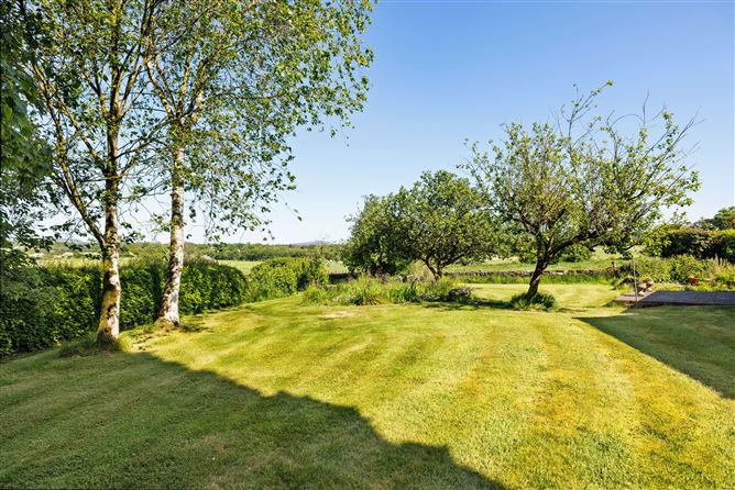 Borkill More on C.1 Acre, Kiltegan, Wicklow