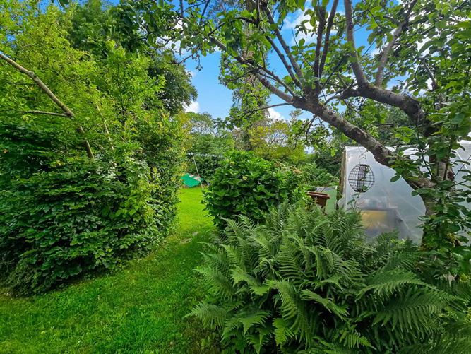 Avalon House, Gortroe, Fossa, Killarney, Kerry